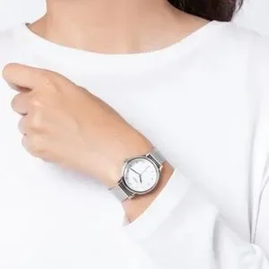 Fossil | Accessories | New Authentic Fossil Laney Silver  display picture 2